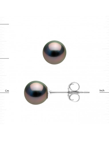 Tahitian Pearl Earrings - Gold