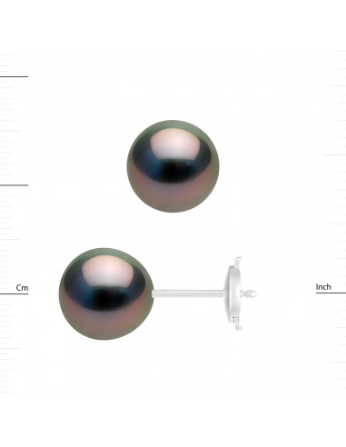 Tahitian Pearl Earrings - Gold