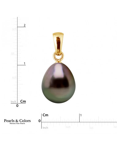 Tahitian Pearl Pendant - Gold