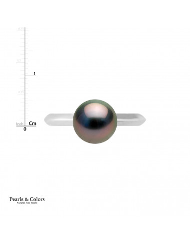 Anillo de perlas de Tahiti - Plata