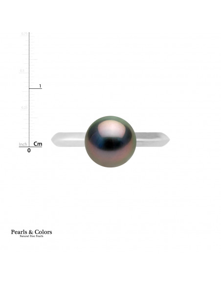 Tahitian Pearl Ring - Silver