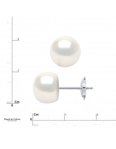 Pearl Earrings - Gold