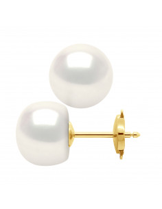 Pearl Earrings - Gold