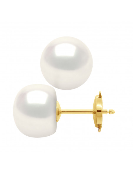 Pearl Earrings - Gold