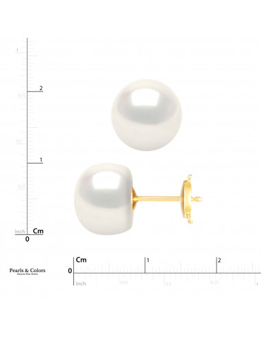 Pearl Earrings - Gold