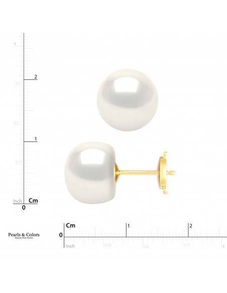 Boucles d'Oreilles Perle - Or