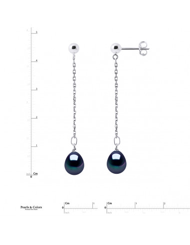 Pearl Drop Earrings - Gold