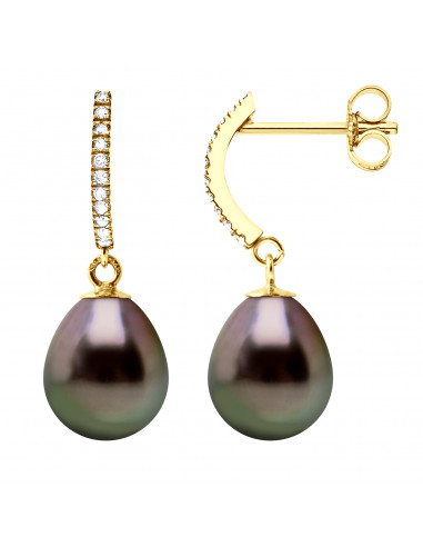 Tahitian Pearl and Diamond Earrings in Gold