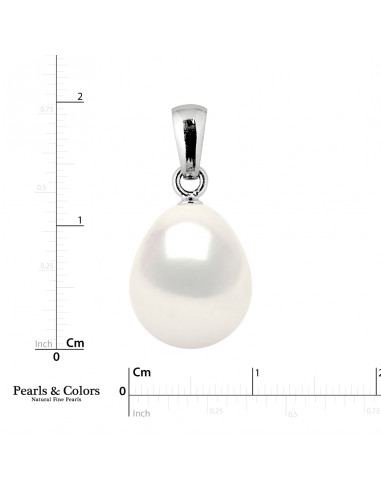 Simple Pearl Pendant - Gold