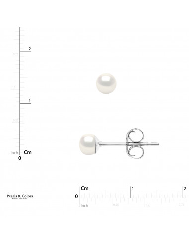 Pearl Earrings - Gold