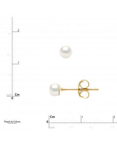 Pearl Earrings - Gold