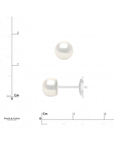 Pearl Earrings - Gold