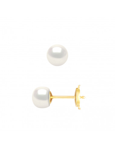 Pearl Earrings - Gold