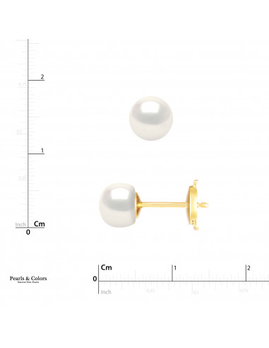 Boucles d'Oreilles Perles - Or