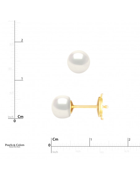 Boucles d'Oreilles Perles - Or