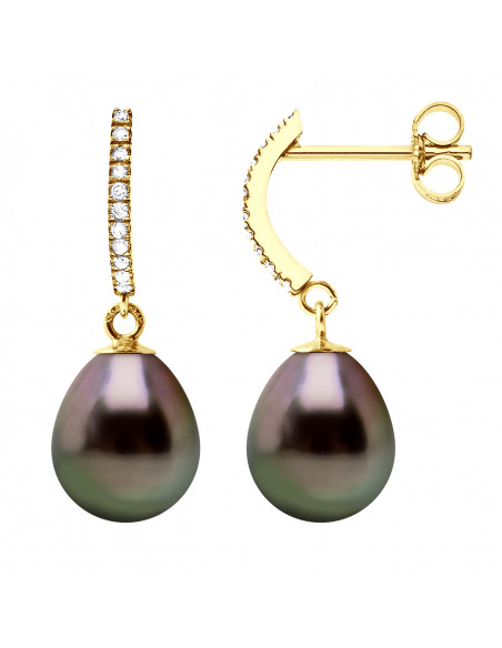 tahitian Pearl Earrings - Gold