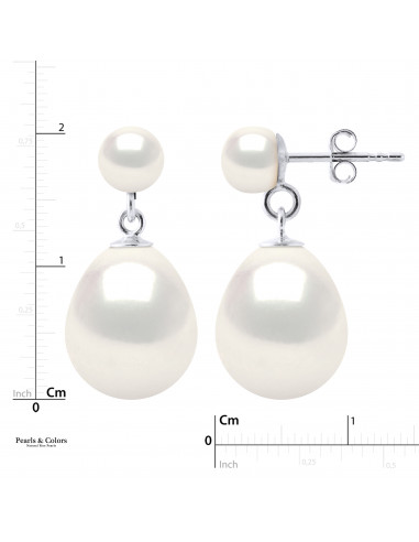 Pearl Earrings - Gold