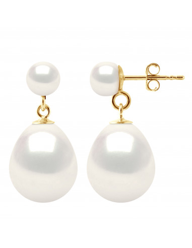 Pearl Earrings - Gold