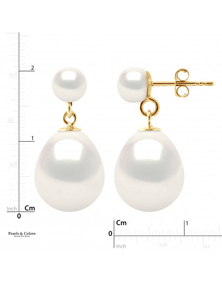 Pearl Earrings - Gold