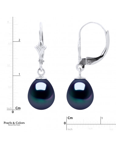 Pearl Earrings - Gold