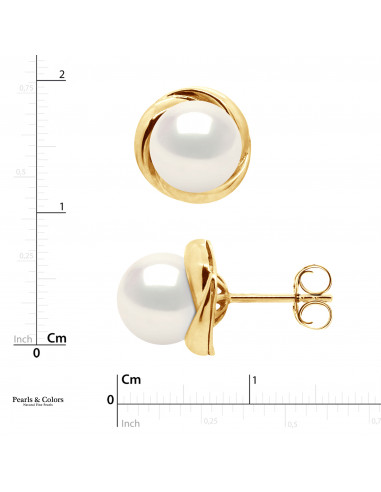 Pendientes de perlas - Oro