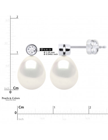 Pearl Earrings - Gold