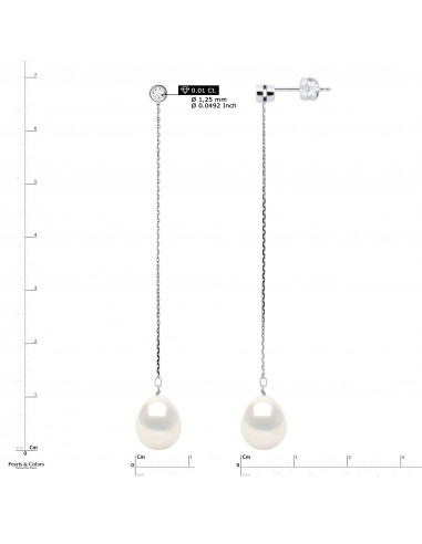 Pearl Earrings - Gold