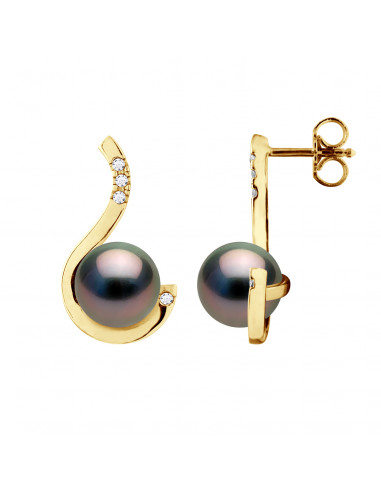 Tahitian Pearl Earrings - Gold