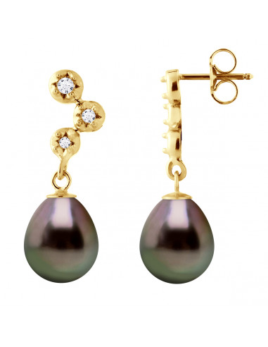 Tahitian Pearl Earrings - Gold