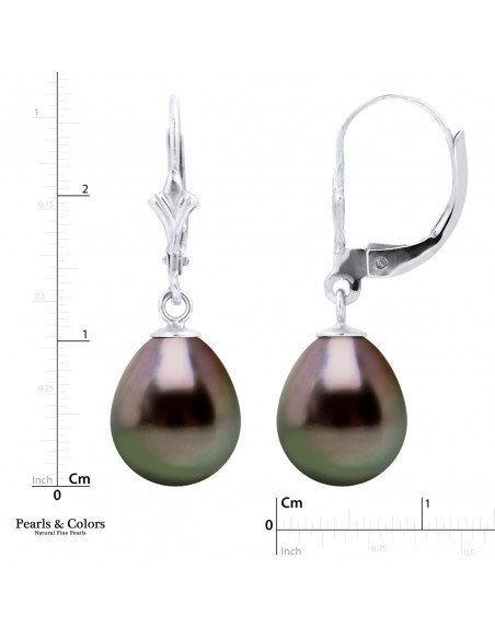 Boucles d'Oreilles Perles Tahiti - Or