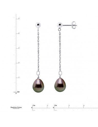 Tahitian Pearl Earrings - Gold