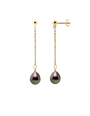 Tahitian Pearl Earrings - Gold