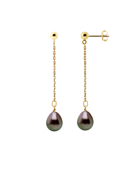 Tahitian Pearl Earrings - Gold