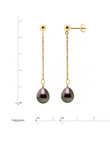 Tahitian Pearl Earrings - Gold
