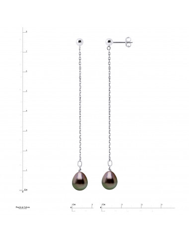 Tahitian Pearl Earrings - Gold