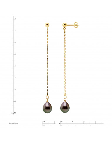 Pendientes Tahiti Perlas - Oro