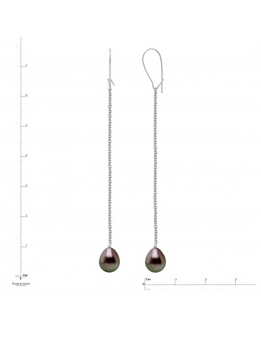 Tahitian Pearl Dangle Earrings - Gold