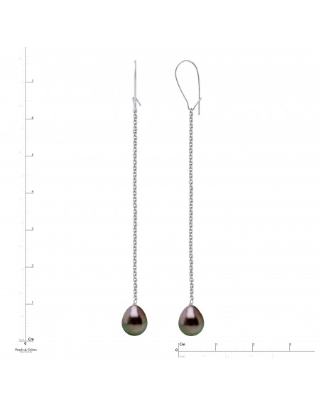 Tahitian Pearl Dangle Earrings - Gold