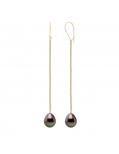 Tahitian Pearl Dangle Earrings - Gold