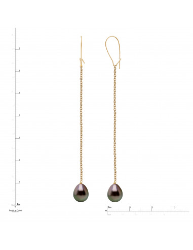 Tahitian Pearl Dangle Earrings - Gold