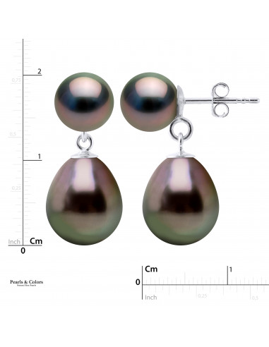 Tahitian Pearl Earrings