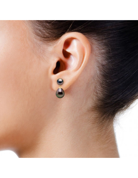 Tahitian Pearl Earrings