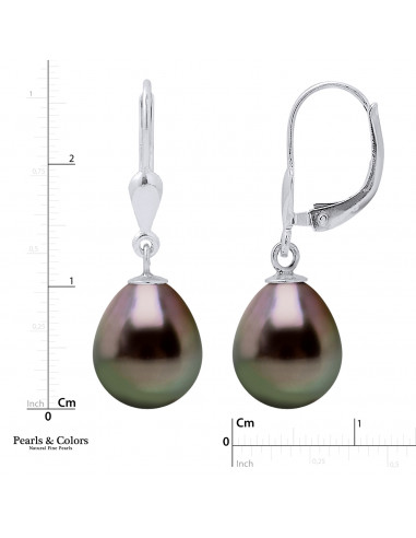 Boucles d'Oreilles Perles Tahiti - Or