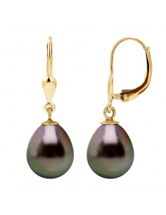 Tahitian Pearl Earrings - Gold