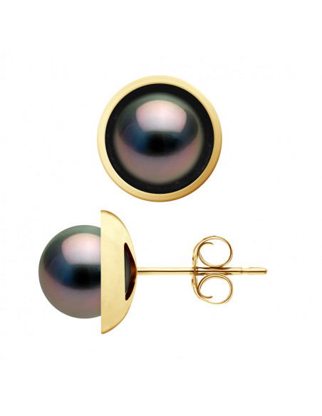 Tahitian Pearl Earrings - Gold