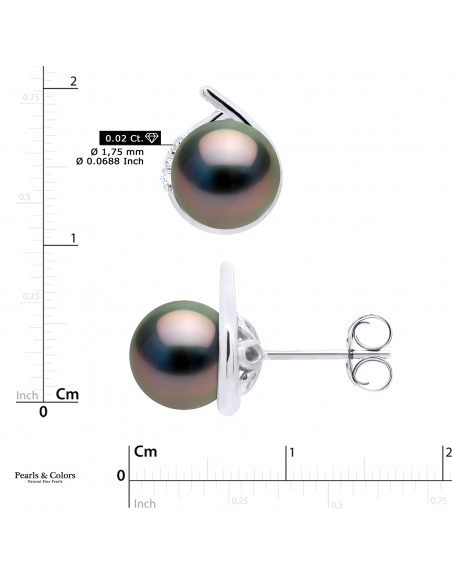 Tahitian Pearl Earrings - Gold