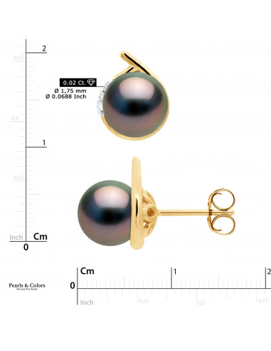 Tahitian Pearl Earrings - Gold