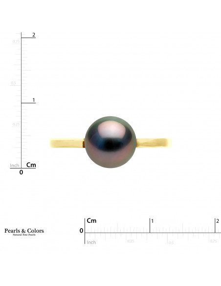 Anillo de perlas Tahiti - Oro