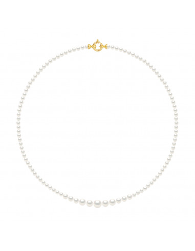 Pearl Necklace - Gold