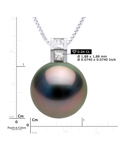 Tahitian Pearl Earrings - Gold